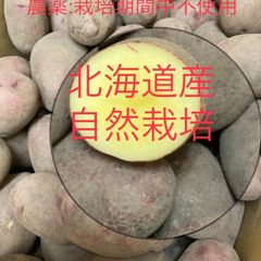 北海道産　自然栽培レッドムーン4kg 無化学肥料　農薬:栽培期間中不使用