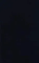 染の安坊 手ぬぐい「墨色」黒 無地 本染め 綿100% 特岡 日本製 35cm×100cm