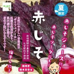 赤じそ（赤紫蘇、赤しそ）　☆農薬や化学肥料は使用しておりません　埼玉県産　枝付き約４００ｇ