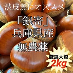 銀寄　厳選の大粒　生栗　2kg(箱込)