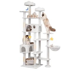 Item thumbnail for item fec9fc1e-39c0-4980-84ee-f8541509a413