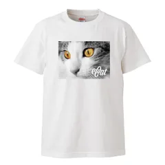 Tシャツ メンズ 半袖 白 ホワイト 猫 ねこ ネコ cat 写真 リアル おしゃれ シンプル 綺麗 きれい ウッドグリーン(WOOD GREEN)