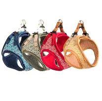 Item thumbnail for item 298cbf6a-f74f-4c29-ad9e-6cce08130492