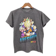 ドラゴンボールZ 半袖Ｔシャツ アニメ キャラクター グレー(メンズ L)中古 古着 U1466