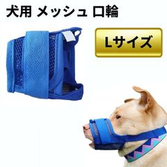 Item thumbnail for item e783c085-3e02-49dd-9356-0d8912776926