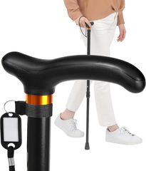 Item thumbnail for item 5c6a36a6-a707-4f92-9329-3990d305c7f3