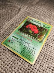 NO007_【極美品】わるいラフレシア_ポケモンカード_旧裏