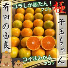 有田みかん　コンパクト便　10月中旬〜下旬発送