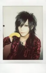 【中古】生写真(男性) FEST VAINQUEUR/HAL/バストアップ・衣装赤黒・右手バナナ・体左向き・背景白/生チェキ
