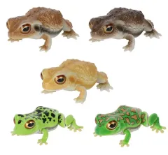 【中古】トレーディングフィギュア 全5種セット 「いきもの大図鑑レプティ ヒキガエルとモリアオガエル」