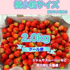 極小粒 2kg 紅ほっぺ いちご 🍓 〜農家直送〜