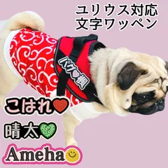 文字ワッペン★S.M.Lサイズ★シール/マジックテープ/アイロン選べます★愛犬 ユリウス 刺繍ワッペン ネームワッペン  刺繍  ユリウスk9 対応 ネームタグ ネームラベル ハーネス 入園 入学 nanairo なないろ キロナイナー