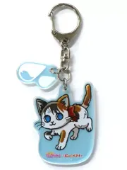 2025年最新】にゃんがさきの人気アイテム - メルカリ