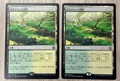2025年最新】吹きさらしの荒野の人気アイテム - メルカリ