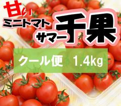 静岡県産ミニトマト　サマー千果　クール便　1400ｇ