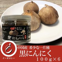 黒にんにく 100g×6 希少な一片種黒にんにく使用 無添加 無農薬 【M101】