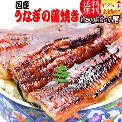 食品 メイコ様専用 国産うなぎ蒲焼×3尾