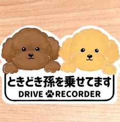 ときどき孫を乗せてます.ドライブレコーダー【トイプードル2匹ボード】マグネットタイプ/シールタイプ/吸盤タイプ