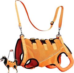 Item thumbnail for item c455d8b7-0b5b-4113-b907-82d247e8a88d