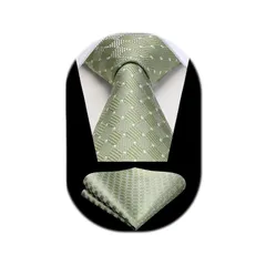 [HISDERN] ネクタイ セット メンズ チェック柄 ネクタイ ポケットチーフ ネクタイ グリーン シルク ブランド 礼服 紳士用 二次会 卒業式 成人式 父の日 高級 HTC1017G18S