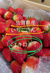 新鮮！佐賀県産いちごさん！約1キロ！