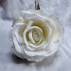 Item thumbnail for item 85cdd24f-2212-494c-beb8-3f612a09ac50