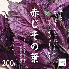 赤じその葉（赤紫蘇、赤しそ）　☆農薬や化学肥料は使用しておりません　埼玉県産　1袋葉のみ約２００g（※葉が小さい場合があります）