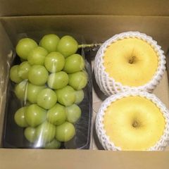 シャインマスカット&はるかりんご　　650g〜