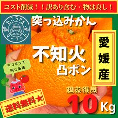 [예약 판매] [간식에 무키무키 ☆ 돌진 감귤] 에히메 현산 시라누이 데코 폰 약 10kg