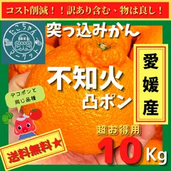 【予約販売】【おやつにムキムキ☆突っ込みかん】愛媛県産　不知火　デコポン　約10kg