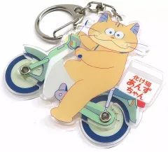 2025年最新】化け猫あんずちゃん キーホルダーの人気アイテム