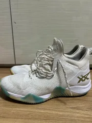 試着程度【ASICS】BLAZE NOVA 25 バッシュ 白 ブレイズノヴァ