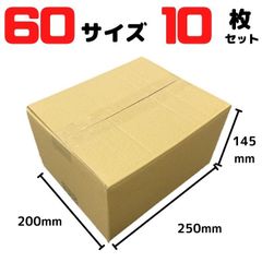 ダンボール 段ボール 60サイズ 10枚セット 外寸250×200×145mm