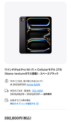 【開封済未使用品】iPad Pro 11インチ M4 Wi-Fi ＋ Cellular 2TB Nano-Textureガラス 2024年モデル AppleStore品
