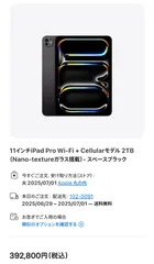 【開封済未使用品】iPad Pro 11インチ M4 Wi-Fi ＋ Cellular 2TB Nano-Textureガラス 2024年モデル