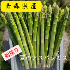 【クール便】朝採り当日発送！青森県産アスパラガス1kg