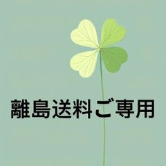 離島送料ご専用