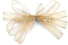 Liebendo ヘアクリップ 髪飾り チュールリボン ヘアアクセサリー 森ガール 誕生日 発表会 撮影用 結婚式 フォーマル 通勤 通学 パーティー(シャンパン)