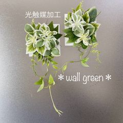 kamiro-green メルカリShopsのご案内 kamiro-green - メルカリShops