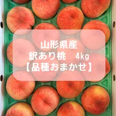 ネコタさん専用　中　桃　さくら白桃　ワケあり　10kg 楽天市場】【ふるさと納税】 先行予約 桃 厳選 旬の白桃 約900g