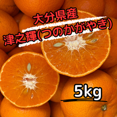 大分県産津乃輝(つのかがやき)/無選別/5kg/送料込み