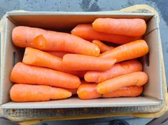 おいしいと評判のにんじん　訳あり　規格外　有機ＪＡＳ　クール便でお届け　5ｋｇ（写真は3ｋｇです）　やわらかく色濃いめ甘みの強い品種　ジュースに　そのやま農園のサムネイル