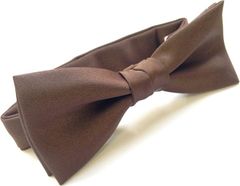 Item thumbnail for item de729fa8-a78a-466b-a58c-0961a50ad858