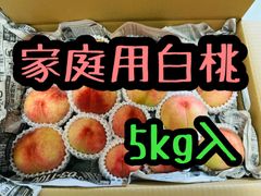 シーズン最終🙇訳あり安い！家庭用白桃5㎏入　長野県産　クール便送料無料