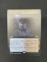 汚染された三角州　ボーダーレス　4枚セット　英 汚染された三角州 ボーダーレス 英語版 4枚セット（FOIL)汚染