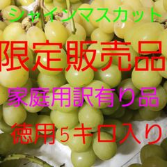 食品・飲料・酒シャインマスカット家庭用訳あり品の、限定徳用5キロ