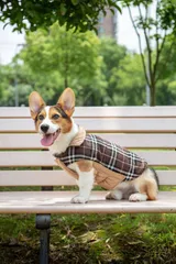【ブラウン】コーギー 中型犬 大型犬 犬服 冬服 リバーシブル チェック柄 コート 暖かい 小型犬 中型犬用 防寒 ジャケット コート ブルゾン ベストダウン 犬 服 風 ペット 洋服 ドッグウェア xzjhenf#