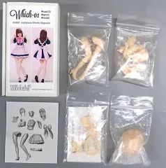 Can Girl Conpe 3対セット 林浩己 ガレージキット ボークス Can Girl