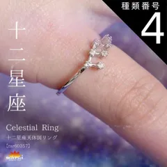 種類4:蟹座 リング 指輪 レディース フリーサイズ 金属アレルギー 指先に夜空を彩る。十二星座天体図リング チェーン アクセサリー 925シルバー スターリングシルバー シルバー 十二星座 星 星座 誕生日 きれいめ プレゼント シンプル n_marai 春