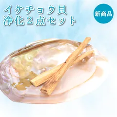 ★特選一点貝★コレは買いだ！【そう、イケチョウ貝だ】 池蝶貝（イケチョウガイ）オーバルリング【10号】 [№5694-0784] - 滋賀